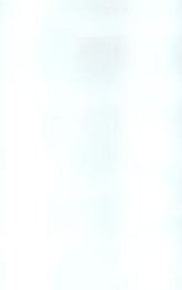 NOWRA GLOSS WHITE 250X400